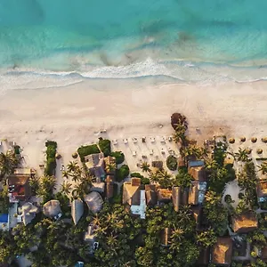 Casa Violeta Tulum